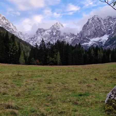 Διαμέρισμα Brina *