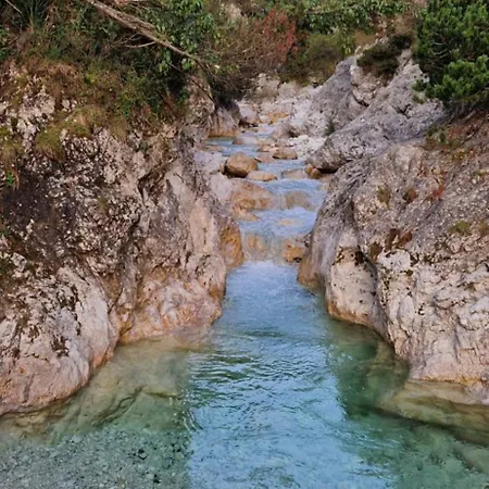 Brina * Kranjska Gora