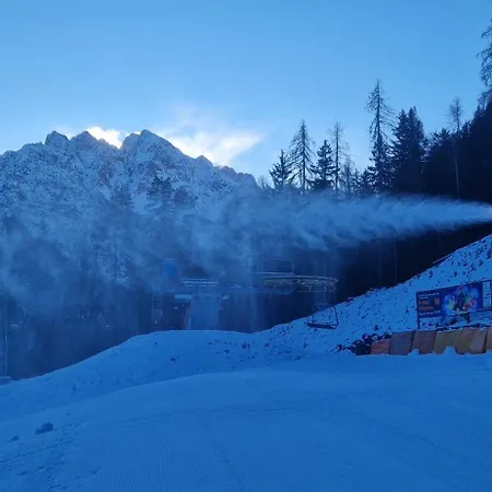 Διαμέρισμα Brina Kranjska Gora