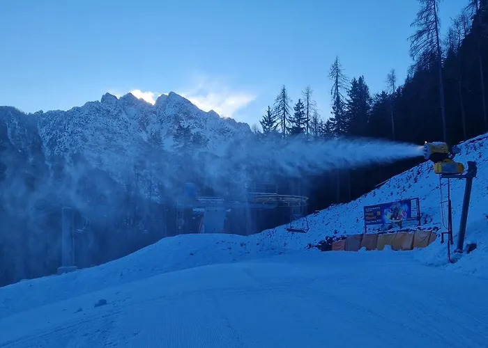 Apartment Brina Kranjska Gora